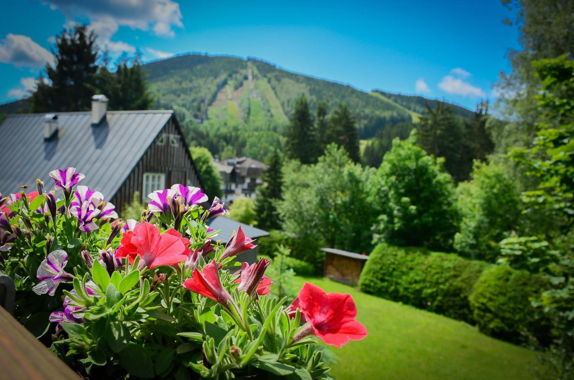 Hotel Friuli 하라포프 외부 사진